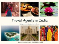 Unforgettable Honeymoon Packages and Holiday Escapes in India