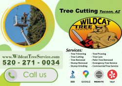 Tree Cutting Tucson, AZ
