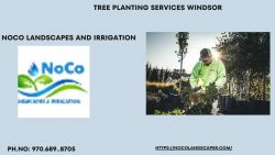 Tree Planting Services Windsor
