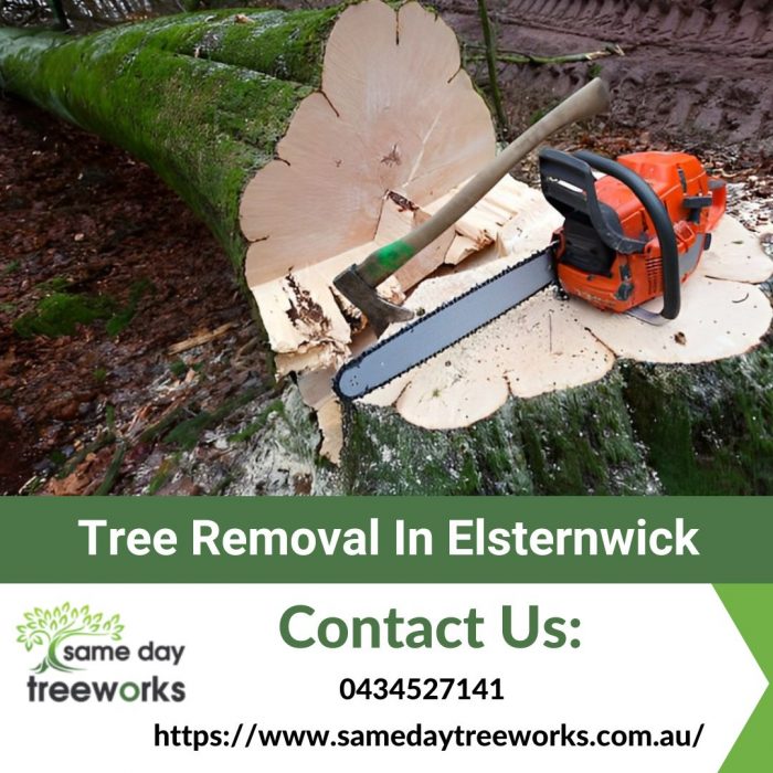 Professional Tree Removal in Elsternwick: Trust the Experts
