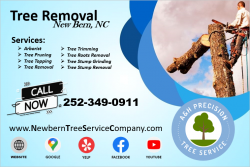 Tree Removal New Bern, NC