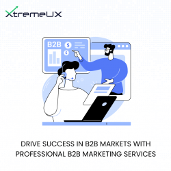 Drive Success in B2B Markets with Professional B2B Marketing Services