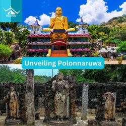 Must-Experience Things to Do in Polonnaruwa, Sri Lanka