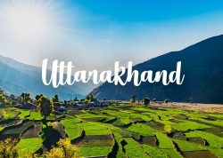 Explore Uttarakhand: Tour Packages for Every Traveler