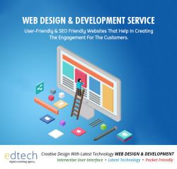 Best Web Design Company in Delhi