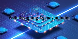 Website Designing Company in India