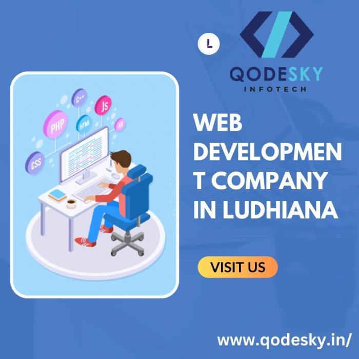 Best Web Development Company in Ludhiana