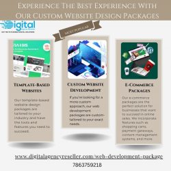 Professional Website Development Packages