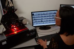 Microfiche Scanning Services