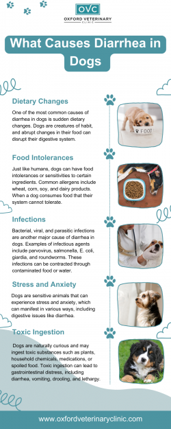 What Causes Diarrhea in Dogs
