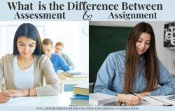 What Is the Difference Between Assessments vs Assignments