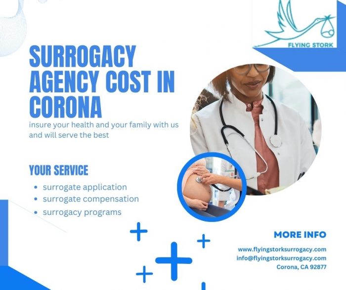 Affordable Surrogacy Agency Cost In Corona at Flying Stork Surrogacy