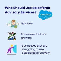 Who Should Use Salesforce Advisory Services?