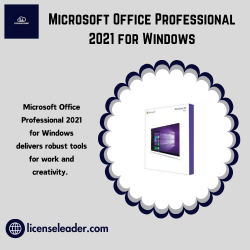 Microsoft Office Professional 2021 for Windows