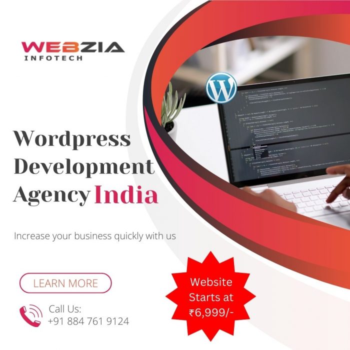 WordPress Development Agency India – Webzia Infotech