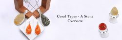 Types of Coral Stone – A Complete Guide