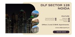 DLF Flats In Noida