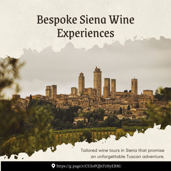 Montepulciano Tour