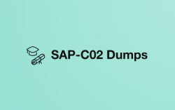 How to Use SAP-C02 Questions to Ace Your Exam