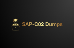 Top SAP-C02 Questions: Your Key to Passing the Exam