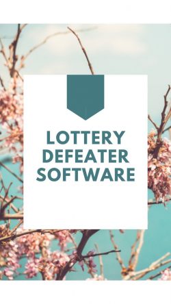 Mastering the Lottery: Tips and Tricks for Using Lottery Defeater Software Effectively