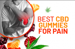 Harmony Peak CBD Gummies Review (Scam or Legit) Is Really Works or Hoax?