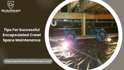 Protect Your Home: Essential Crawl Space Maintenance Tips