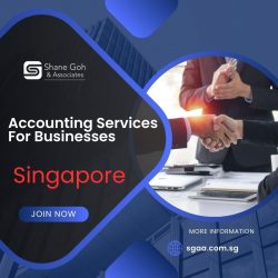 Reliable Accounting Services in Singapore for Your Business