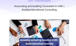Expert Accounting and Auditing Consultants: Auditac International