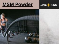 Maya Gold Trading Offers Premium Quality Pure Msm Powder