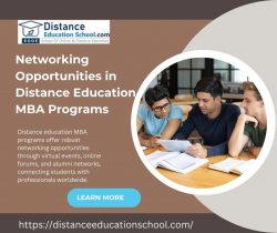 Networking Opportunities in Distance Education MBA Programs