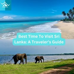 Best Time To Visit Sri Lanka: A Traveler’s Guide