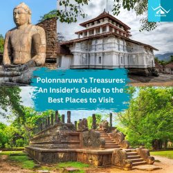 Unveiling Polonnaruwa’s Treasures: An Insider’s Guide to the Best Places to Visit