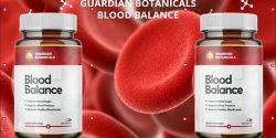 Guardian Botanicals Blood Balance France (France, Belgique, Luxembourg, Suisse)
