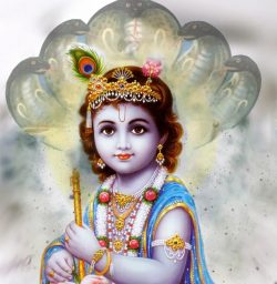 IPhone Krishna Wallpaper
