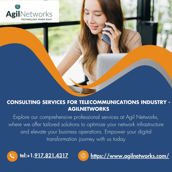 Consulting Services for Telecommunications Industry-AgilNetworks