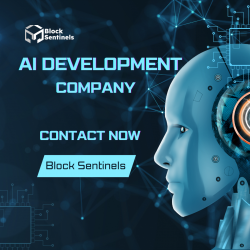 AI Development Company – Block Sentinels