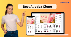 Why Entrepreneurs Should Choose Alibaba Clone and How does it work?