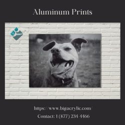 Aluminum Prints