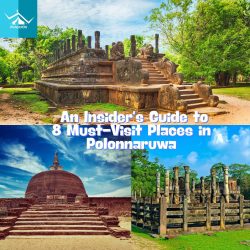 Discover the Best Things to Do in Polonnaruwa: An Insider’s Guide to 8 Must-Visit Places