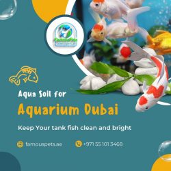 Aqua Soil for Aquarium Dubai