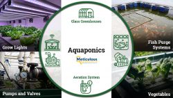 Meticulous Research Unveils Lucrative Growth Trajectory for Aquaponics Market, Projecting USD 2. ...