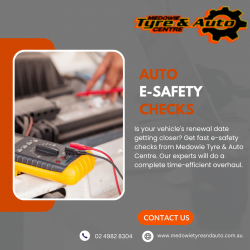 Auto E-Safety Checks at Medowie Tyre & Auto Centre