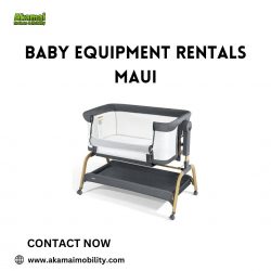 Baby Equipment Rentals in Maui