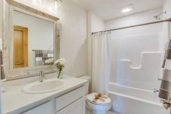 Expert Bathroom Renovations in Eastern Suburbs