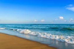 Discovering the Magic of Puri Beach: A Tranquil Coastal Retreat