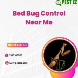 Bed Bug Control Near Me