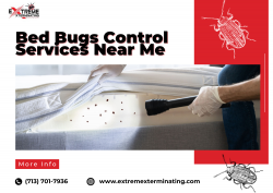 Professional Bed Bug Control Services Near Me