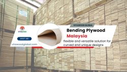 Premium Bending Plywood Solutions in Malaysia | VitaWood Global