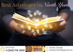 Benefits of Visiting the Best Astrologer in North York